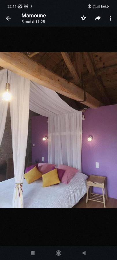 Castel Mazars Bed and Breakfast Castelnau-de-Montmiral Exteriör bild